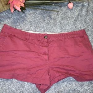 Women’s Loft Maeve shorts size 18